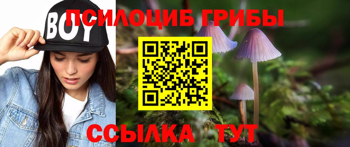 Галлюциногенные грибы Magic Shrooms  Псилоцибиновые грибы GOLDEN TEACHER  Минусинск  Вход с VPN 