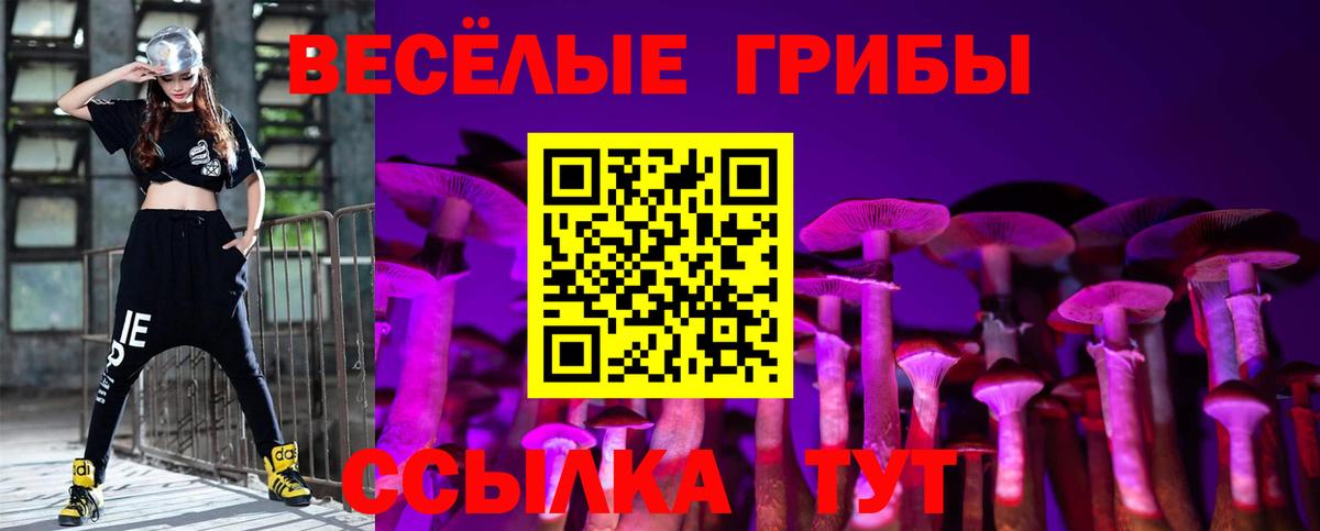 Псилоцибиновые грибы ЛСД Минусинск